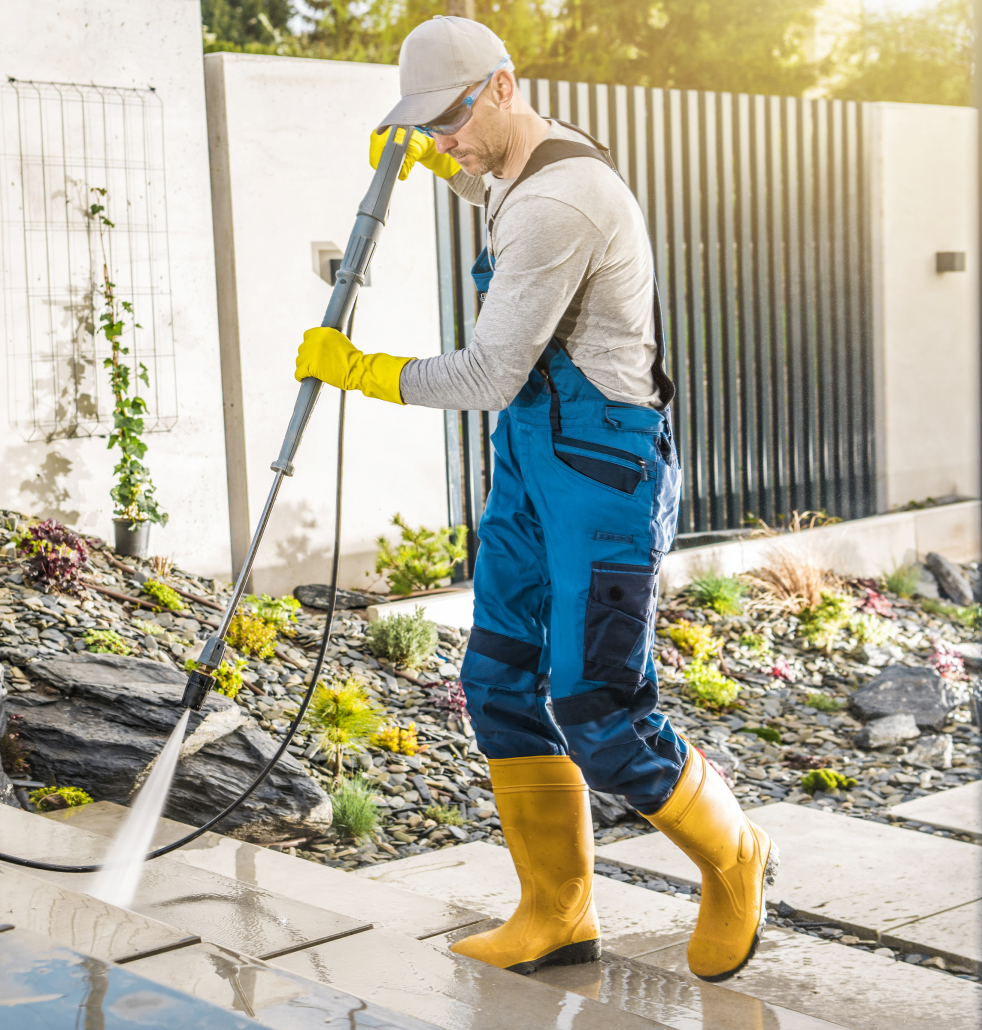 MYI WEBSITE Objektpflege